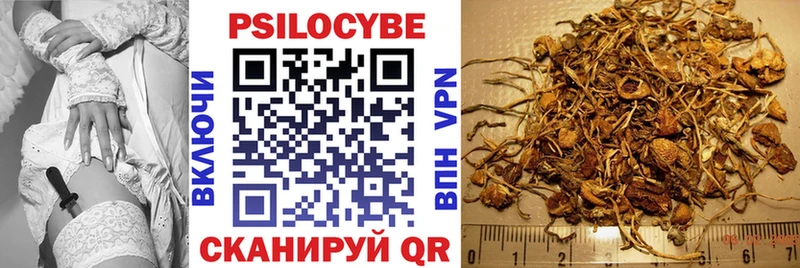 Псилоцибиновые грибы GOLDEN TEACHER  Дегтярск 